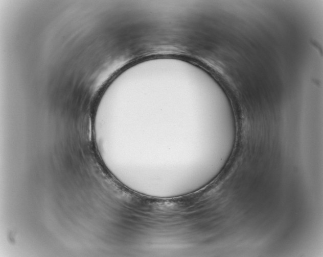 X0000102301317200808152008