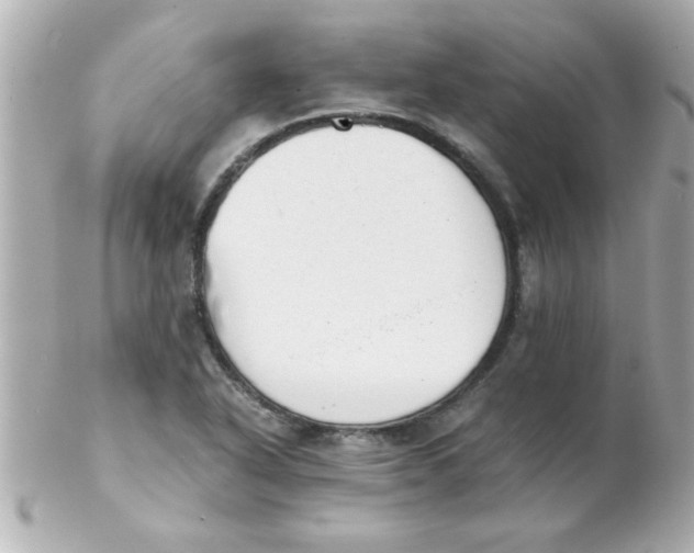X0000102301318200808152008
