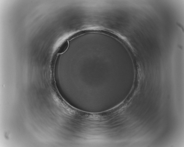 X0000102301319200808152008