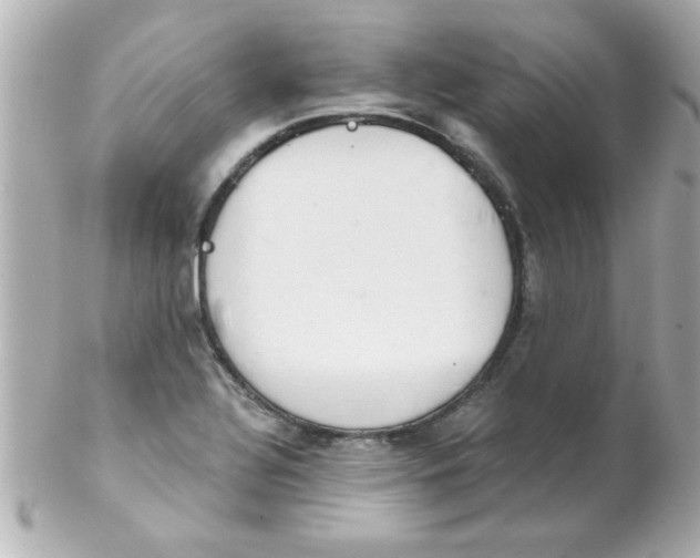 X0000102301320200808152008