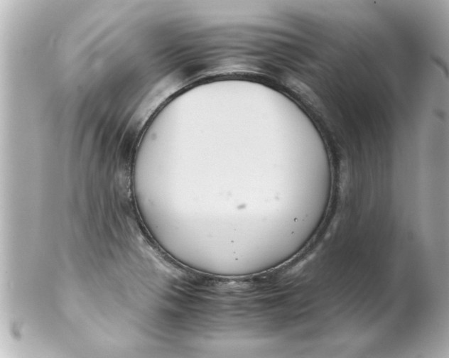 X0000102301321200808152008