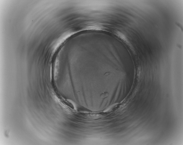 X0000102301323200808152008