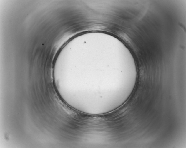 X0000102301324200808152008
