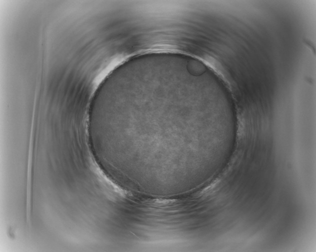 X0000102301325200808152008