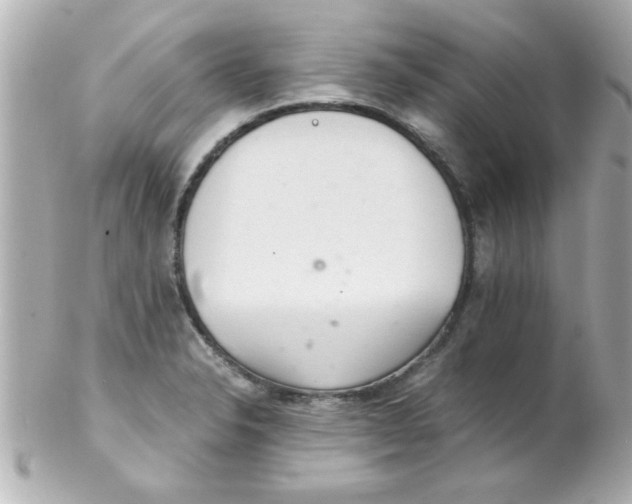 X0000102301326200808152008