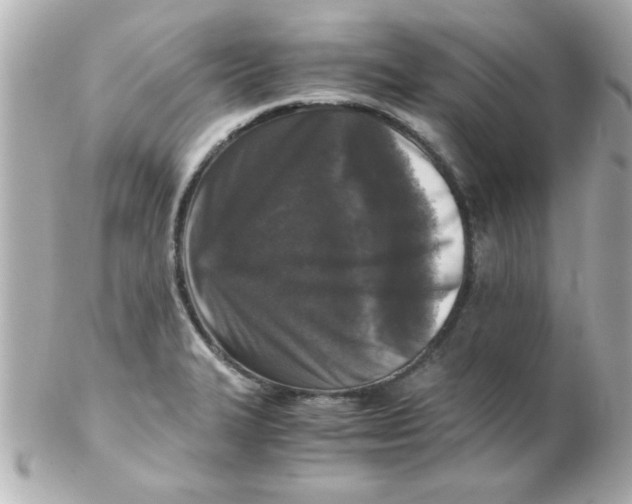 X0000102301327200808152008