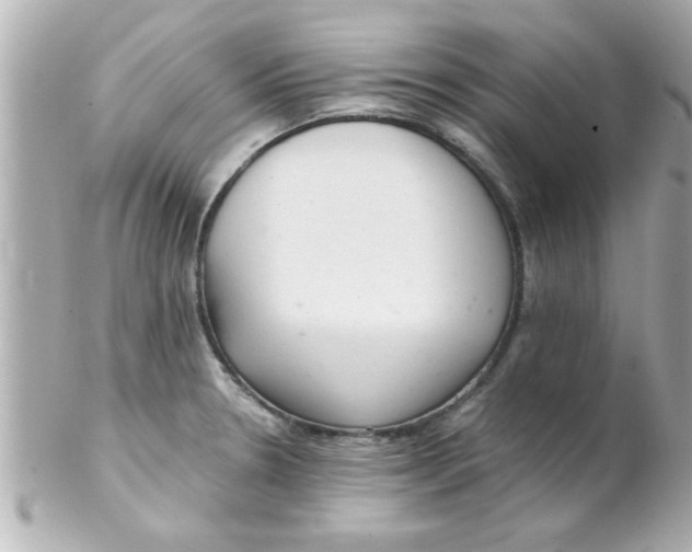 X0000102301330200808152008