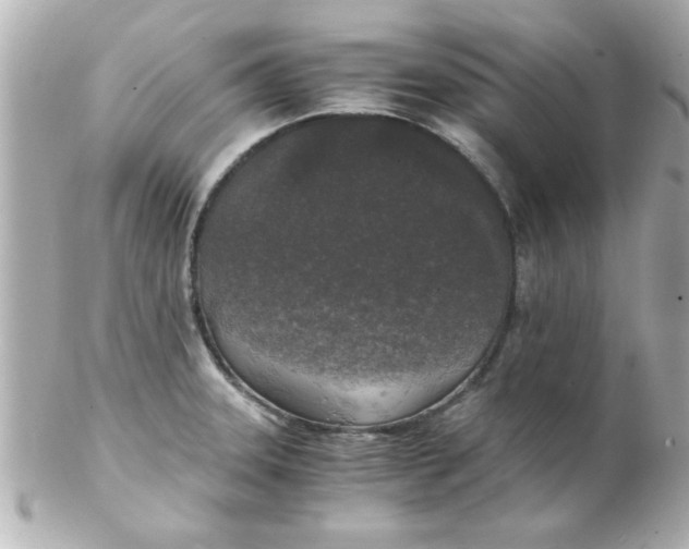 X0000102301331200808152008