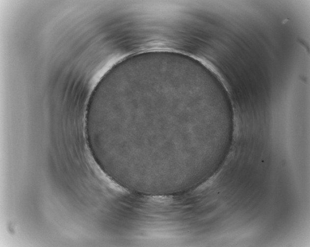 X0000102301333200808152008