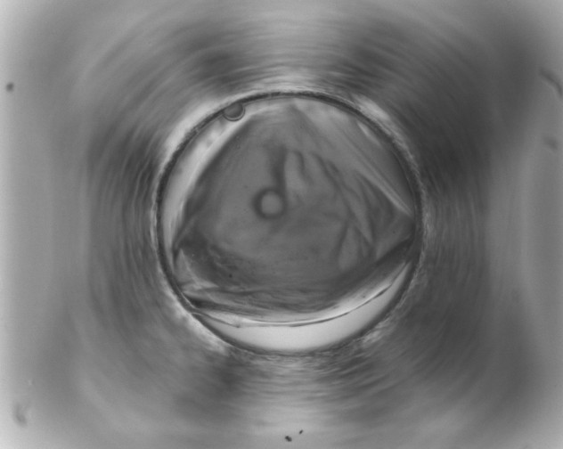 X0000102301334200808152008
