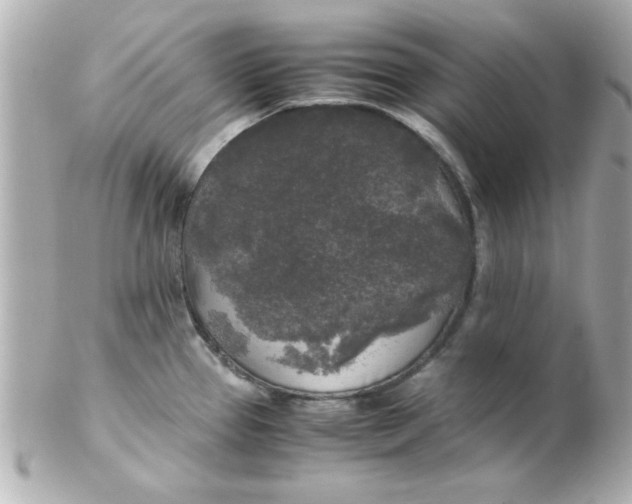 X0000102301337200808152009