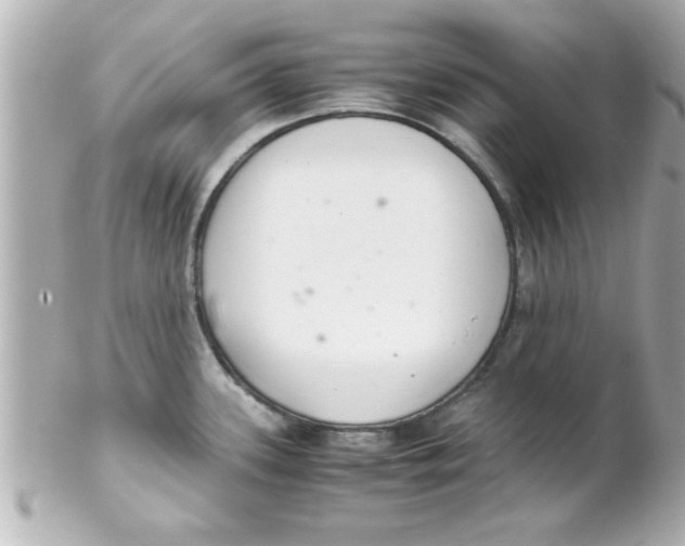 X0000102301339200808152009