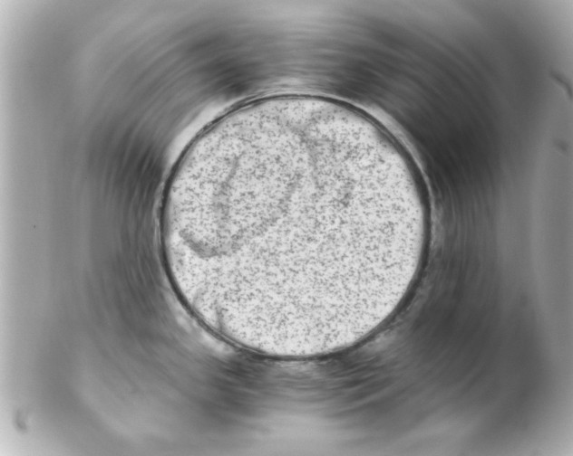 X0000102301341200808152009