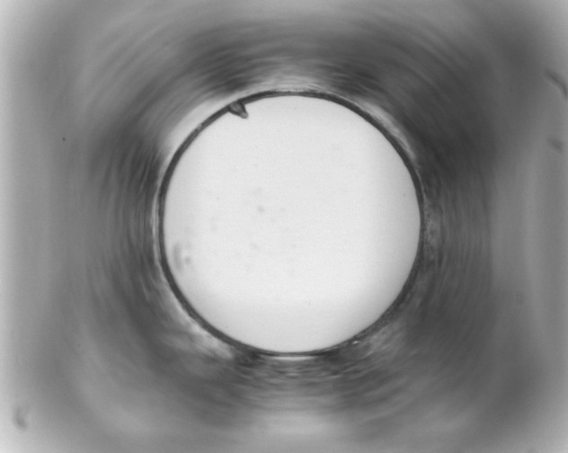 X0000102301343200808152009