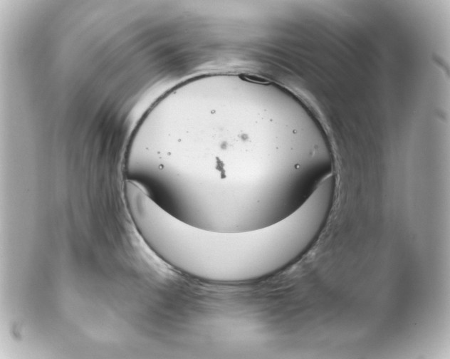 X0000102301344200808152009