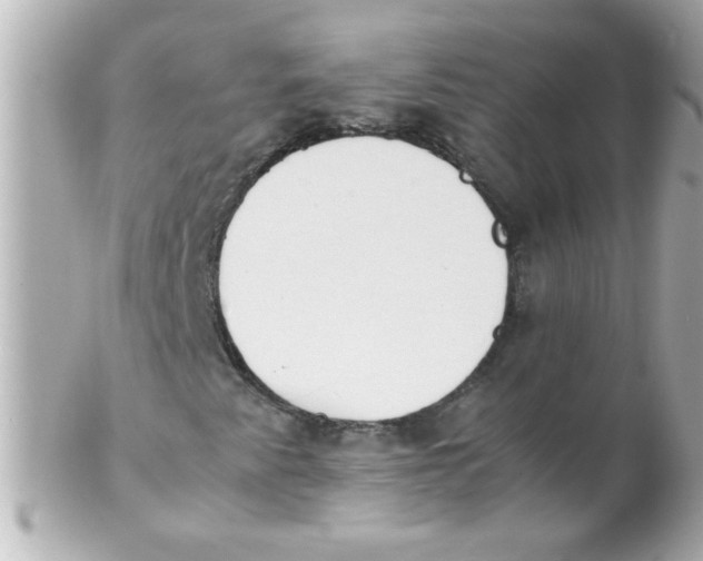 X0000102301345200808152008