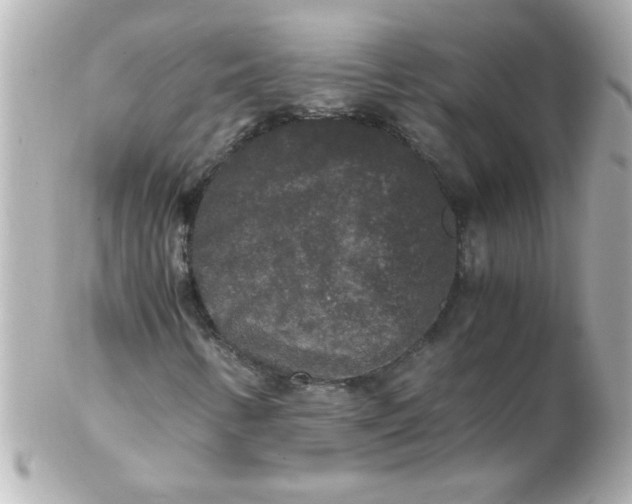 X0000102301346200808152008