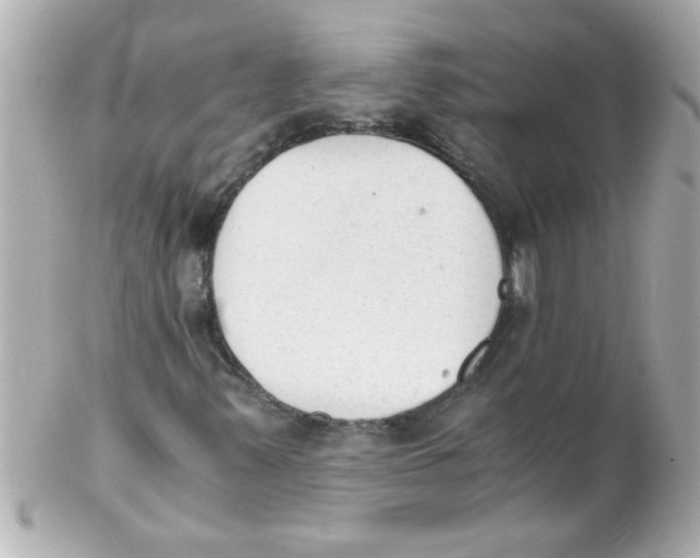 X0000102301347200808152008