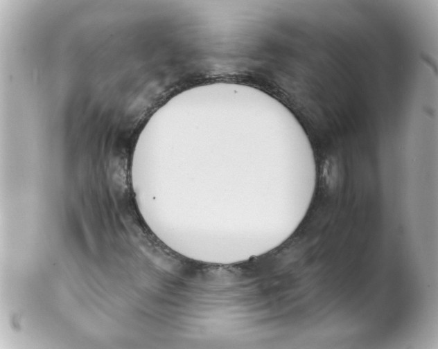 X0000102301348200808152008