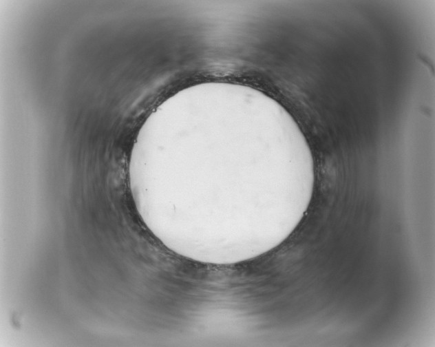 X0000102301349200808152008