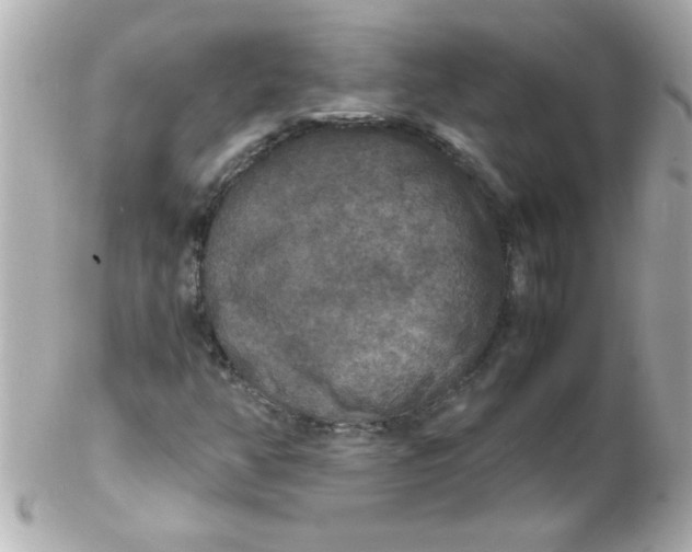 X0000102301350200808152008