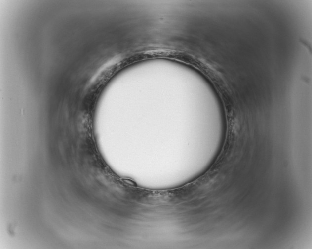 X0000102301351200808152008