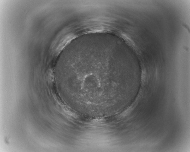 X0000102301353200808152008