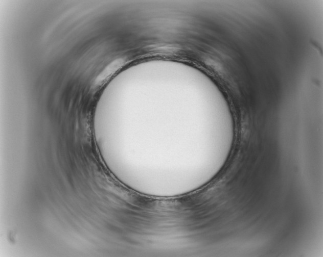 X0000102301354200808152008
