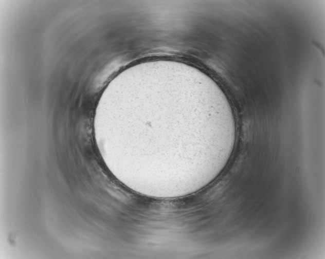 X0000102301355200808152008