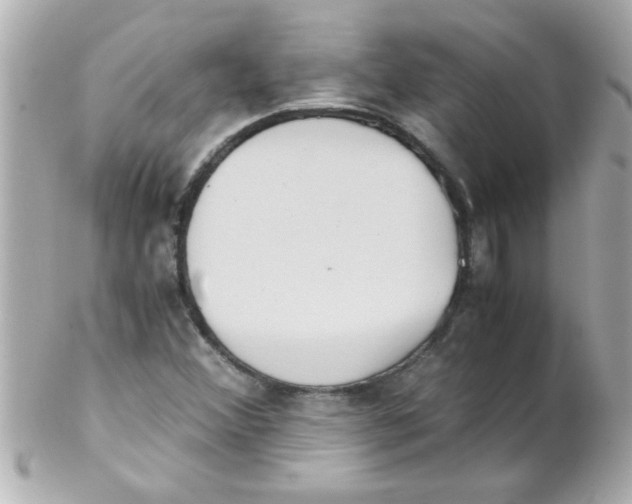 X0000102301356200808152008