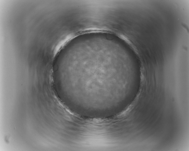 X0000102301357200808152008