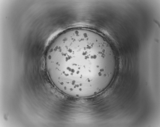 X0000102301358200808152008