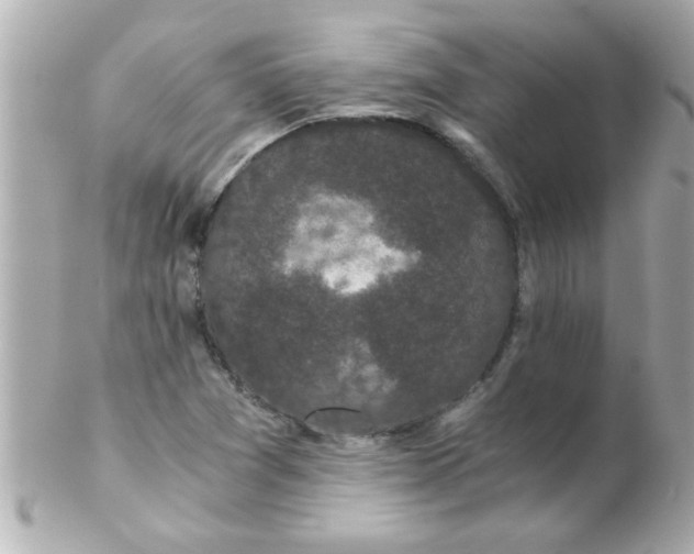 X0000102301361200808152008