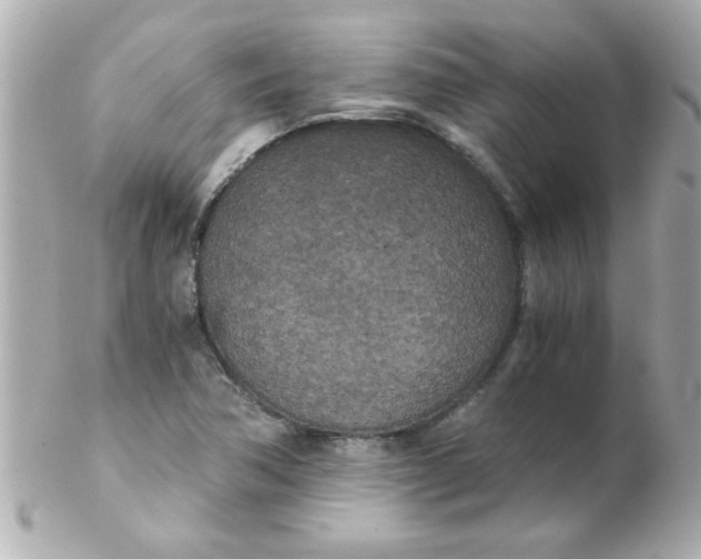 X0000102301362200808152008