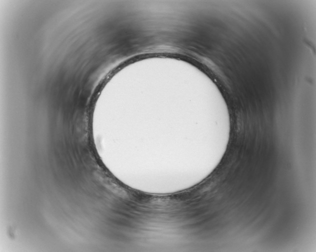 X0000102301364200808152008