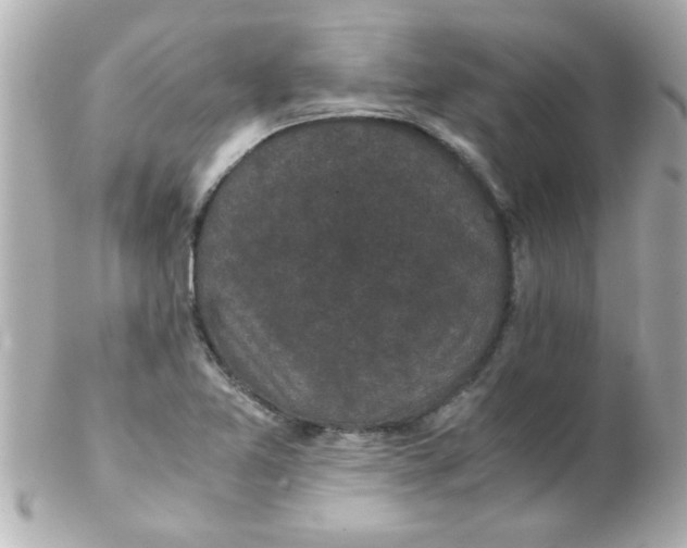 X0000102301365200808152008