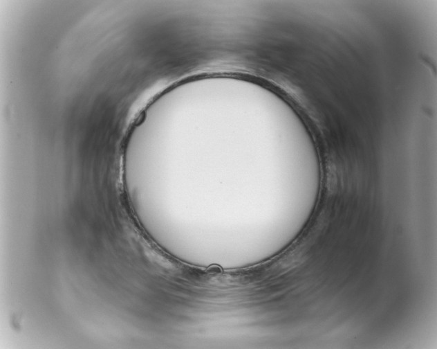 X0000102301366200808152008