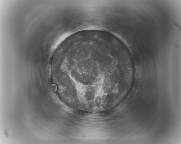 X0000102301367200808152008