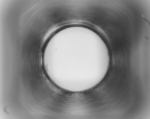 X0000102301368200808152008