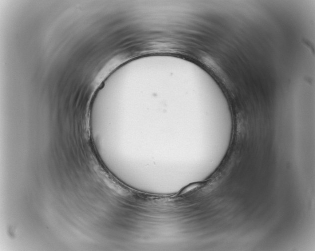 X0000102301370200808152008