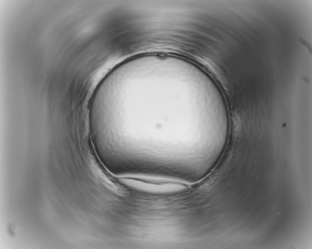 X0000102301371200808152008