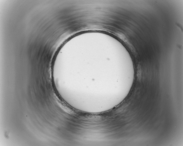 X0000102301372200808152008