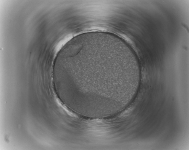 X0000102301373200808152008