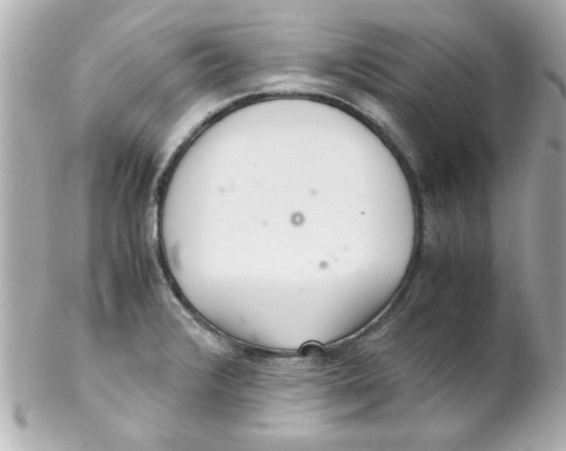 X0000102301376200808152008