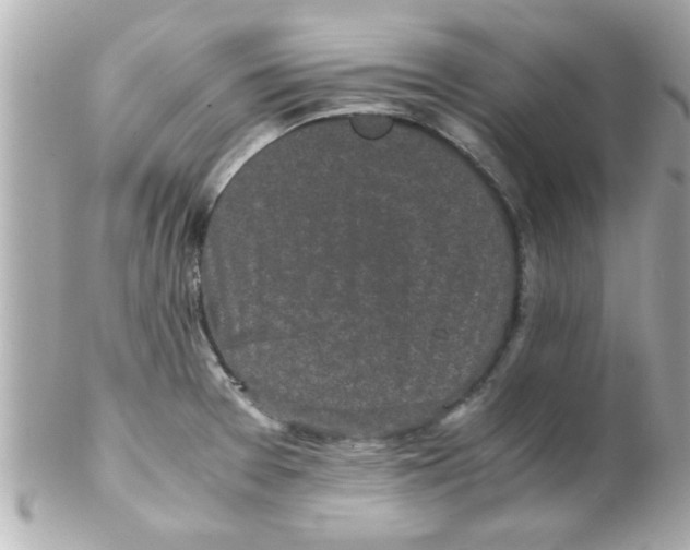 X0000102301377200808152008
