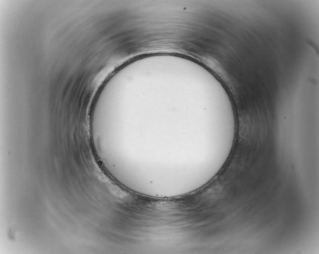 X0000102301380200808152007
