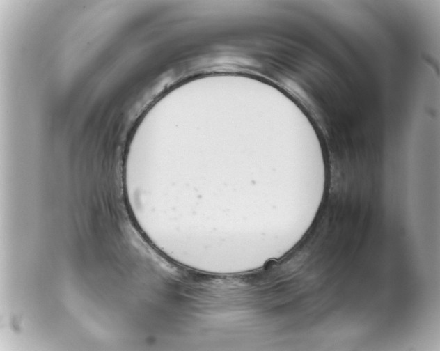 X0000102301384200808152007