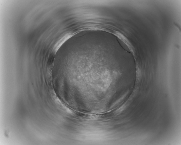 X0000102301385200808152007