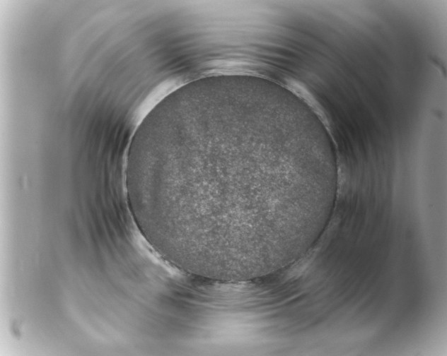 X0000102301386200808152007