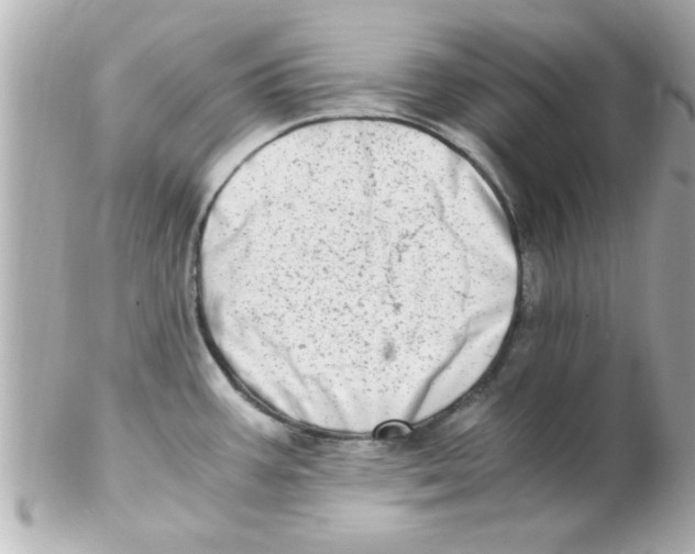 X0000102301387200808152007